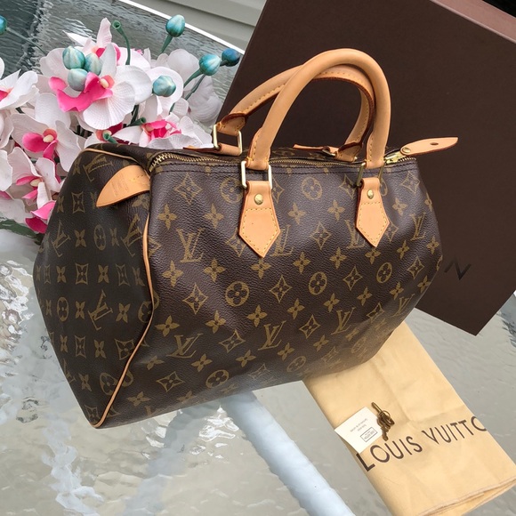 Louis Vuitton Handbags - Authentic Louis Vuitton 30